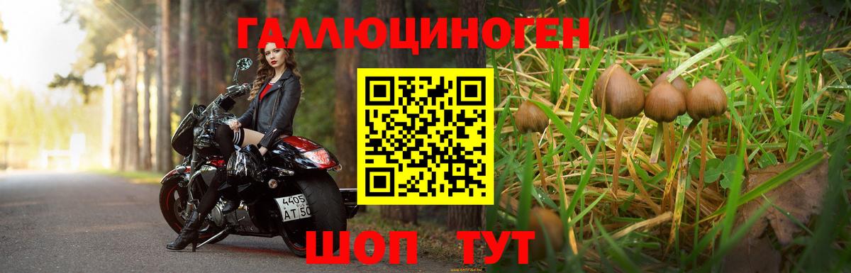 Усолье-Сибирское  наркотики  Вход с VPN  Галлюциногенные грибы GOLDEN TEACHER 